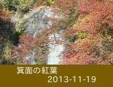箕面の紅葉_2013-11-19